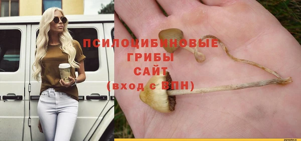 синтетический гашиш Богданович
