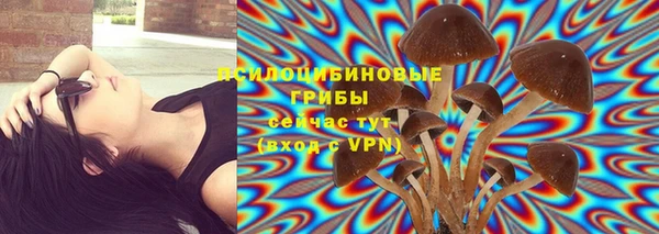 a pvp Богородицк
