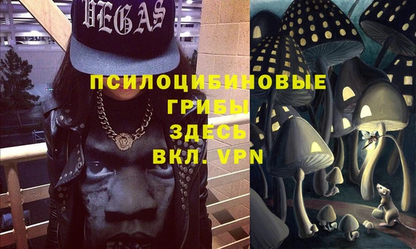 a pvp Богородицк