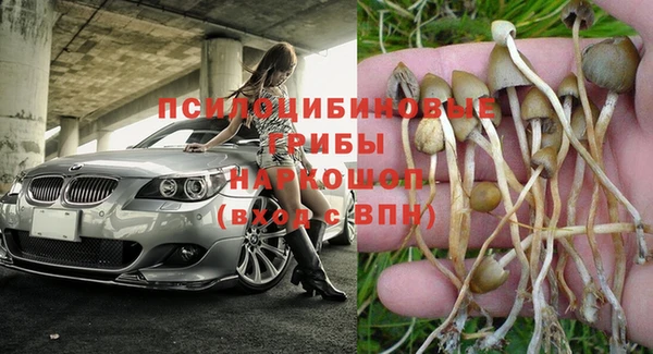 a pvp Богородицк