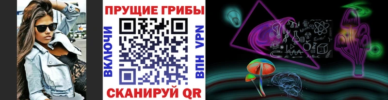 Псилоцибиновые грибы GOLDEN TEACHER  Курган 